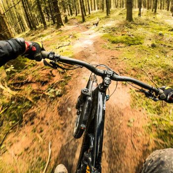 View from Chest cam of riding through forest on mountain bike