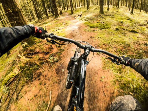 View from Chest cam of riding through forest on mountain bike