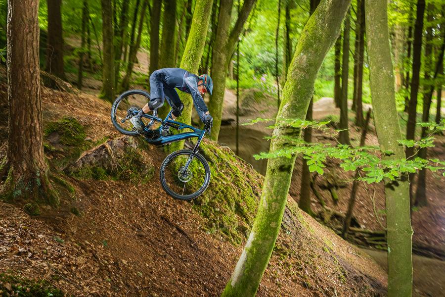 Whyte E bike