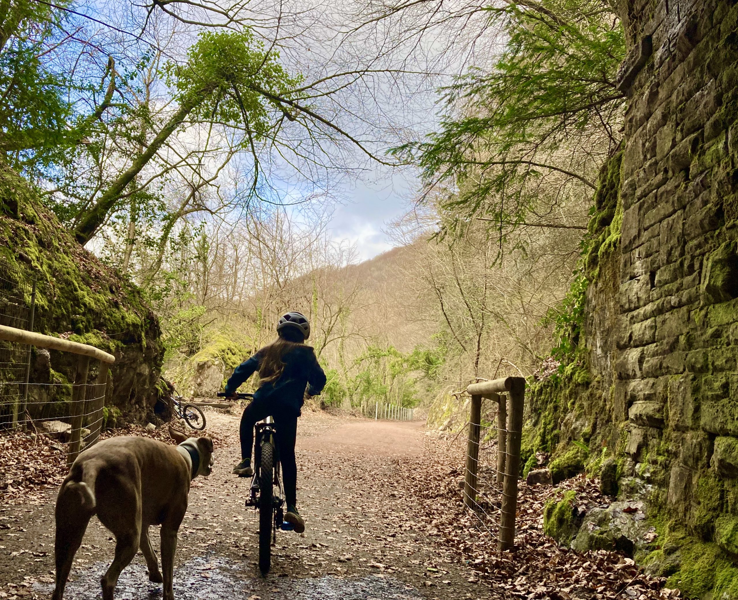 leaving tidenham tunnel