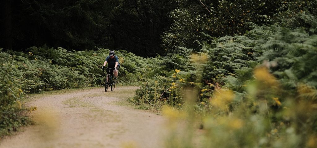 Photo of gravel cyclist on forest road in the Forest of Dean