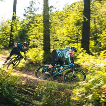 Whyte Hardtail bikes enjoy the XC trails in Forest of Dean