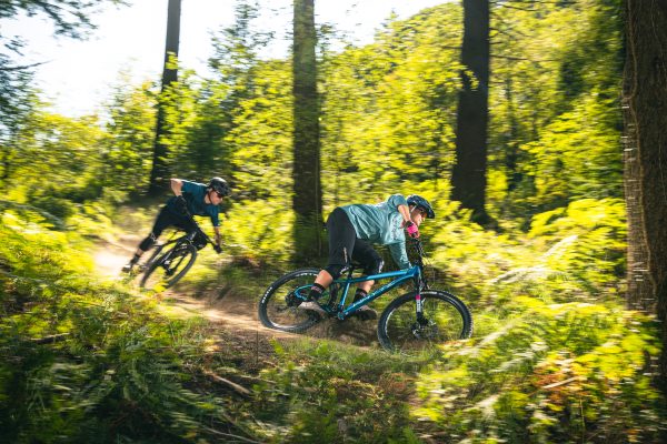 Whyte Hardtail bikes enjoy the XC trails in Forest of Dean