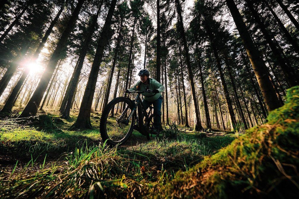 Lady riding through evergreen forest with low sun shining through trees