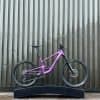 Santa Cruz Heckler