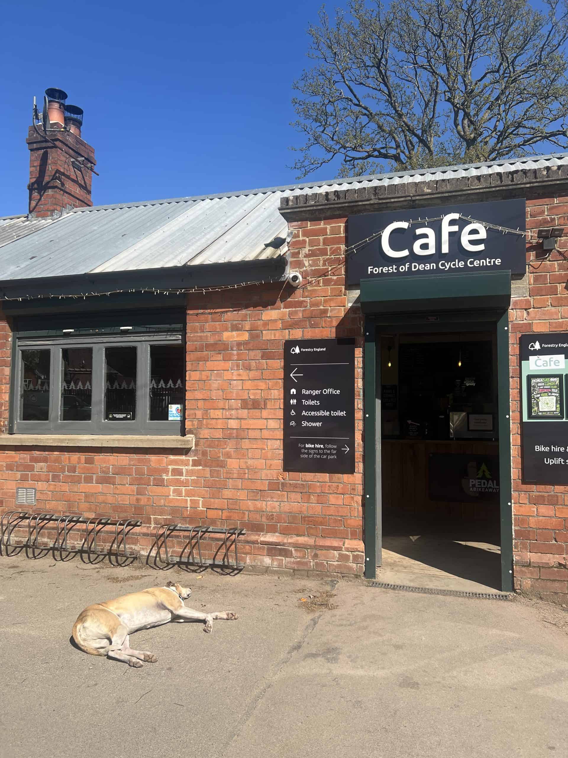 A dog lying out in the sunshine outside the cafe